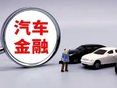 和政押车贷款不是本人可以么?